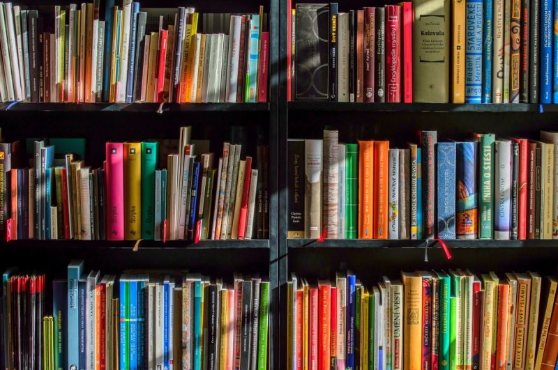 vente-AMIRAT-min_books_bookstore_book_reading_shop_writer_sale_books_read-822866